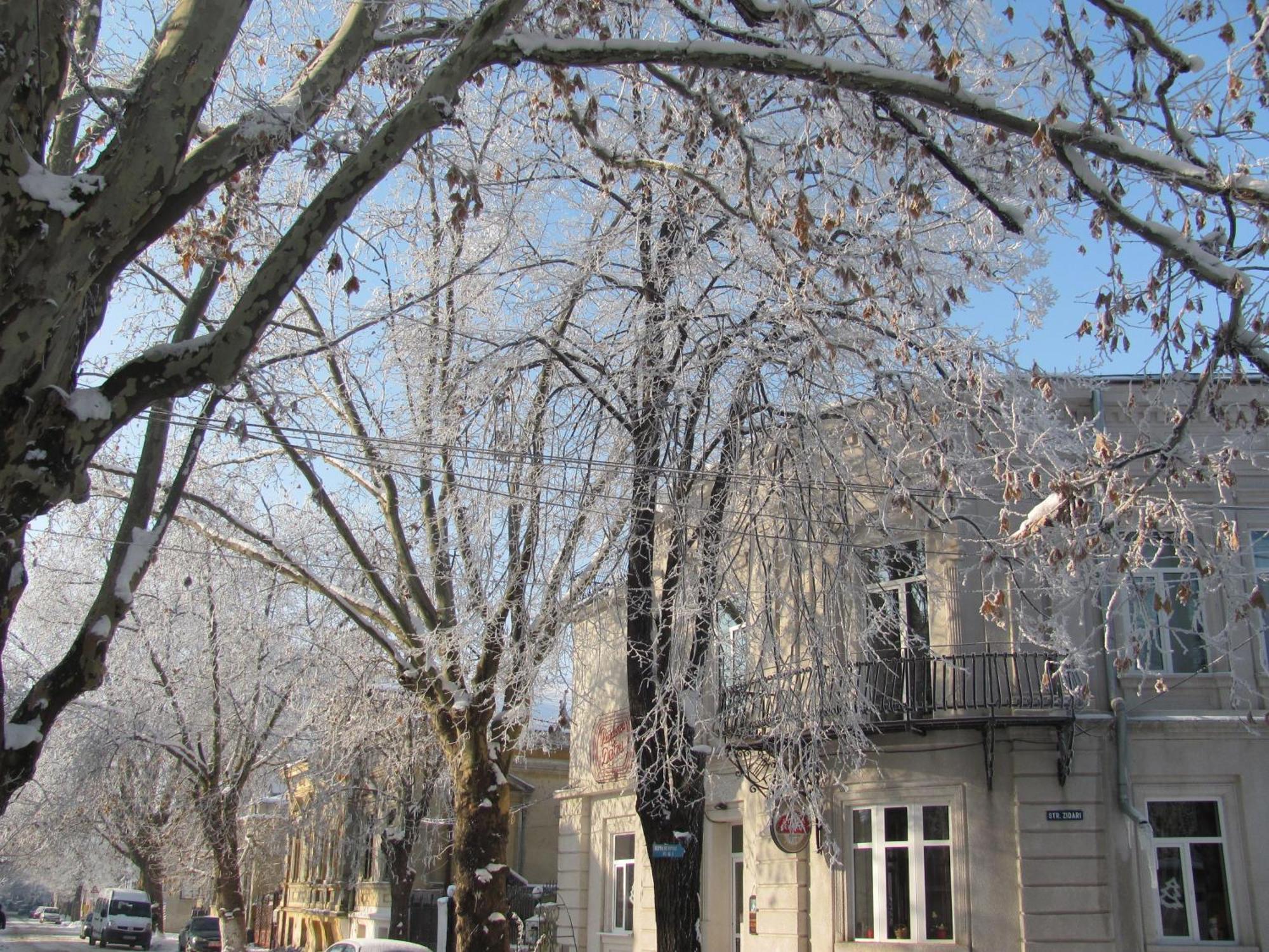 Residenza Dutzu-Boutique Hotel Браїла Екстер'єр фото
