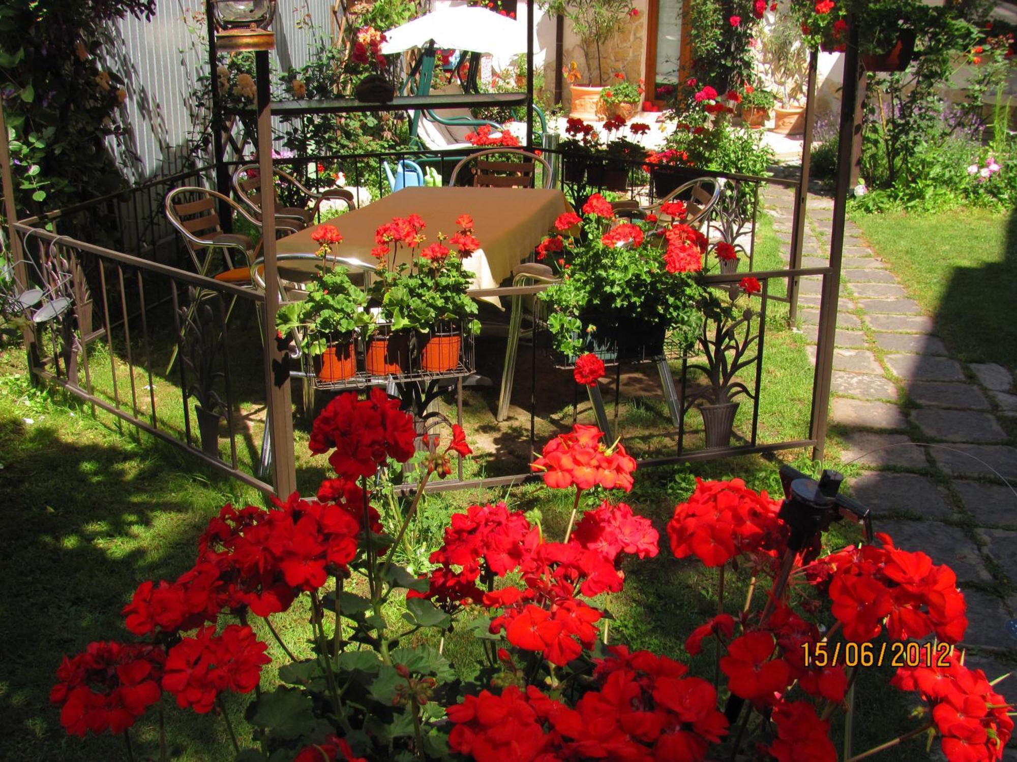 Residenza Dutzu-Boutique Hotel Браїла Екстер'єр фото