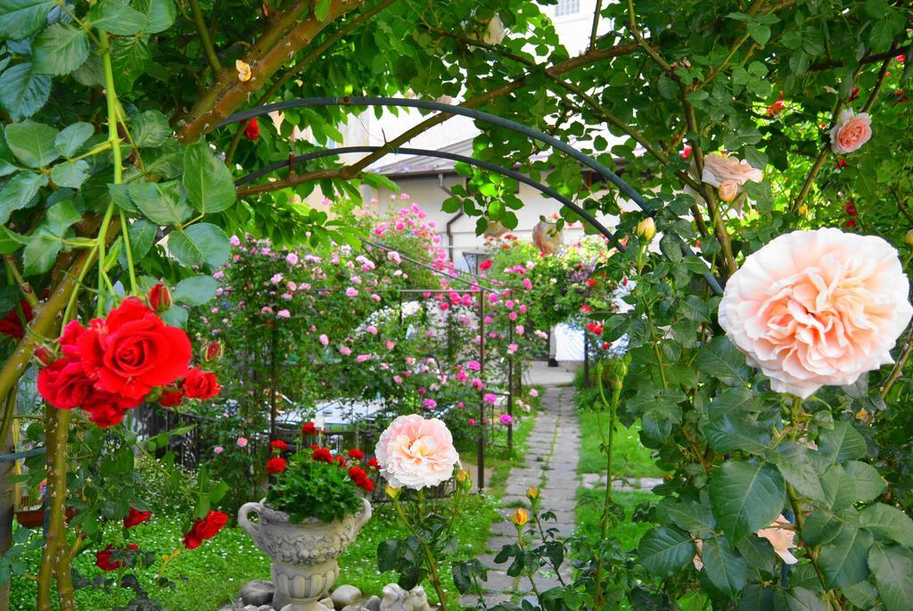 Residenza Dutzu-Boutique Hotel Браїла Екстер'єр фото