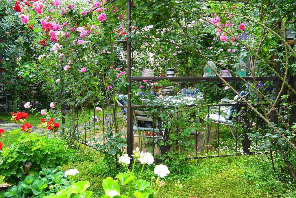 Residenza Dutzu-Boutique Hotel Браїла Екстер'єр фото