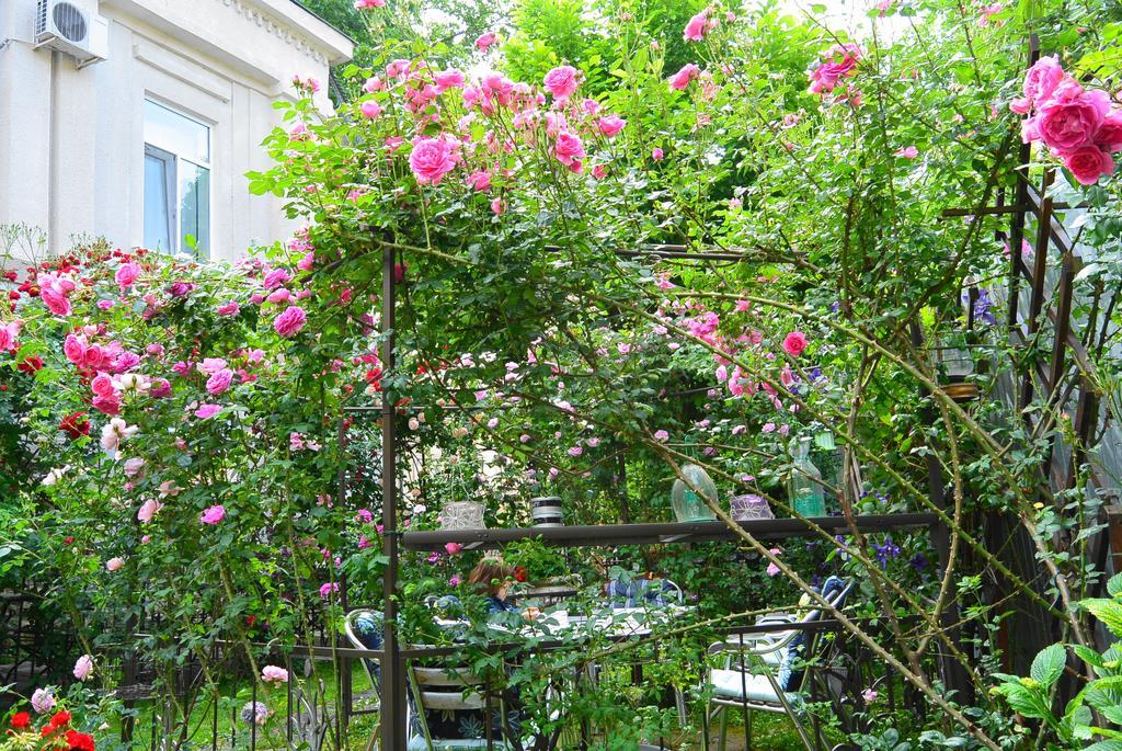 Residenza Dutzu-Boutique Hotel Браїла Екстер'єр фото