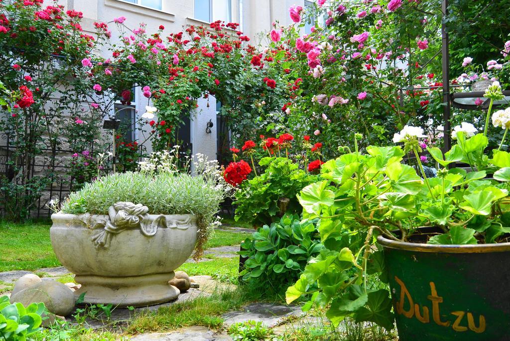 Residenza Dutzu-Boutique Hotel Браїла Екстер'єр фото