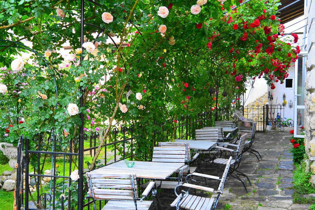 Residenza Dutzu-Boutique Hotel Браїла Екстер'єр фото