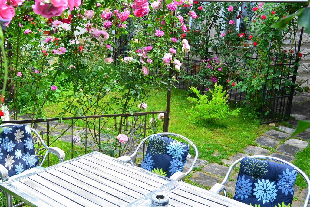 Residenza Dutzu-Boutique Hotel Браїла Екстер'єр фото