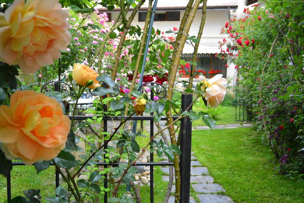 Residenza Dutzu-Boutique Hotel Браїла Екстер'єр фото