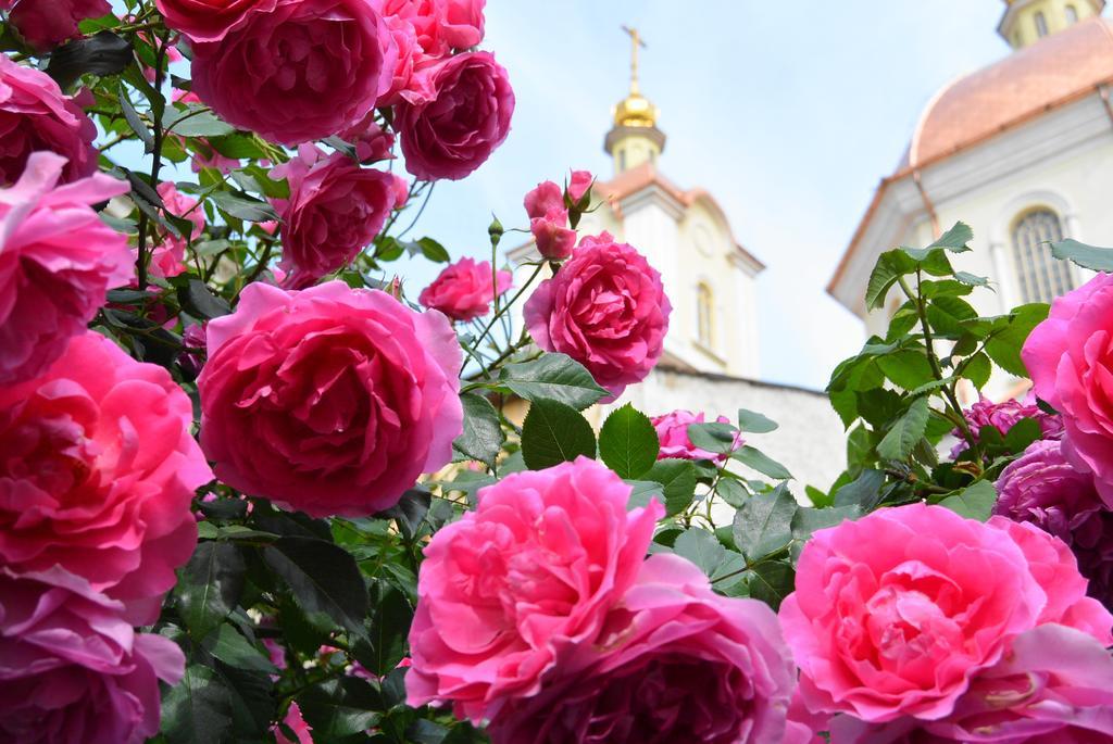 Residenza Dutzu-Boutique Hotel Браїла Екстер'єр фото