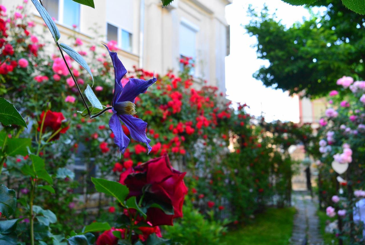 Residenza Dutzu-Boutique Hotel Браїла Екстер'єр фото