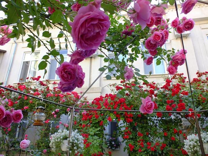 Residenza Dutzu-Boutique Hotel Браїла Екстер'єр фото